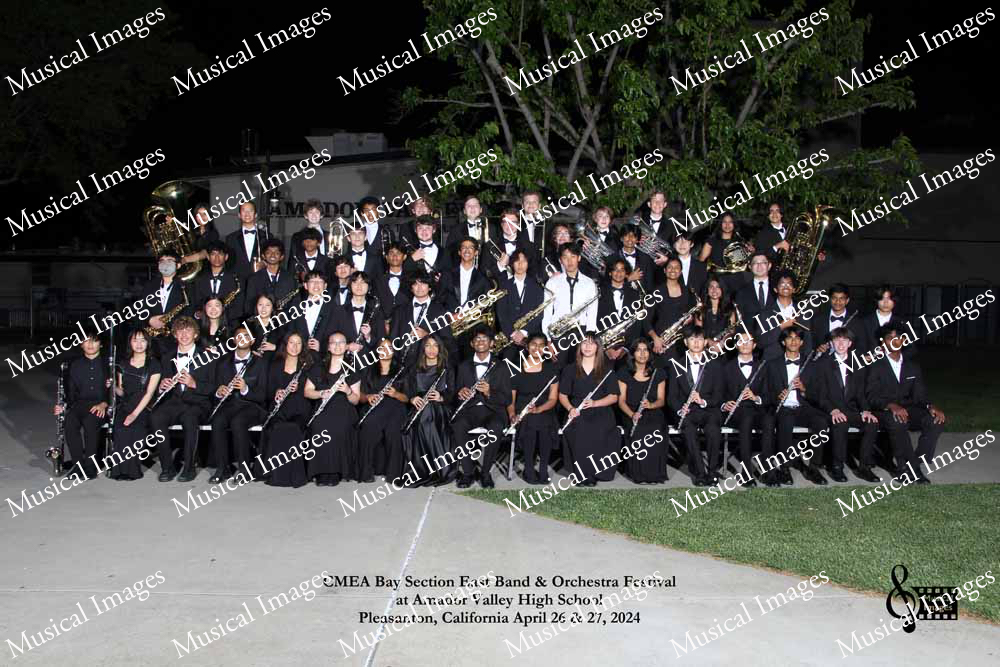 Musical Images